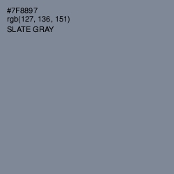 #7F8897 - Slate Gray Color Image
